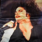 DSC018510