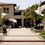 Fariba Garmani set off her doves