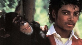 MJ’s Chimp Bubbles Paints $1,500 Abstracts for Charity