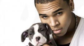Chris Brown: ‘New album X pays homage to Michael Jackson’