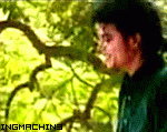 MJ-RARE-michael-jackson-15055501-200-119