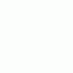 tumblr_ldqzwqcMJG1qagcyro1_500