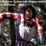 Michael Jackson Scarecrow