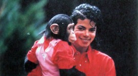 MJ & Bubbles promo for National Geographic Channel