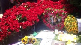 Quick Reminder To Buy Your Rose For MJ / June 25th