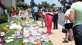 VIDEO Of Fans At Forest Lawn June 25th, 2013.