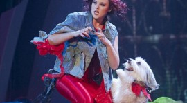 Ashleigh & Pudsey Thriller Britains got talent 2013 (VIDEO)
