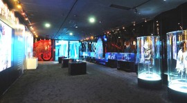 Macau Sofitel’s Michael Exhibit / MJWN