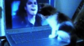 Cute Michael Jackson / Kitty Video!