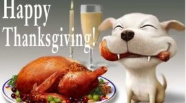 Have A Safe & Happy Thanksgiving!