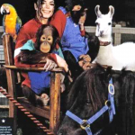 MJ-and-animals2