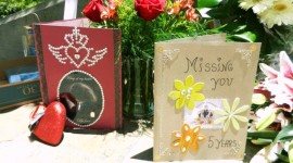 Photos Of Forest Lawn, Neverland June 24th, 2014