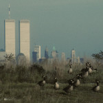 5079087727_6f628eb55e_b